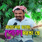 Beguner Moddhe Poka Dhortahe