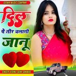 Dil Pe Teer Chalagi Janu