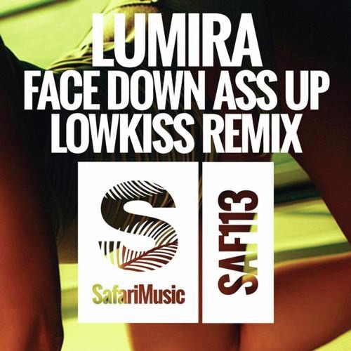 Face Down Ass Up (Lowkiss Remix)_poster_image