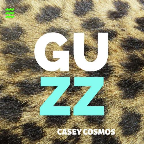 Casey Cosmos