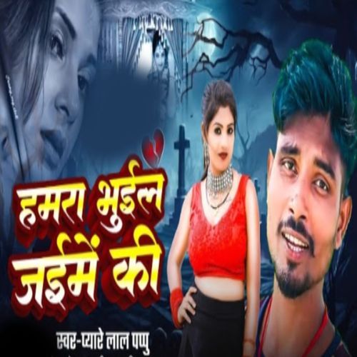 Hamra Bhuil Jaime Ki