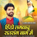 Hindo Lagvadu Satsang Baag Mai