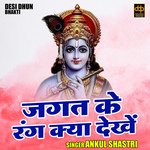 Jagat ke rang kya dekhen (Hindi)