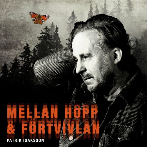 Ljusår cover art