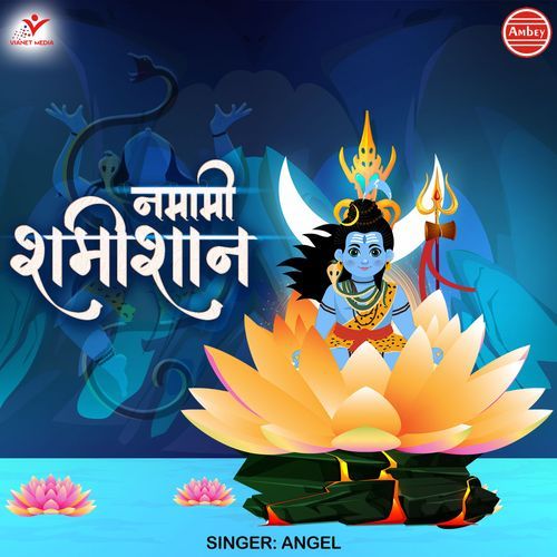 Namami Shamishan