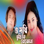 O Shokhi Tumi Ki Bojona