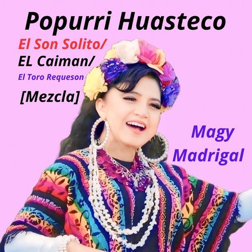 Popurri Huasteco - El Son Solito / El Caiman / El Toro Requeson (Mezcla) cover art