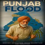 Punjab Flood