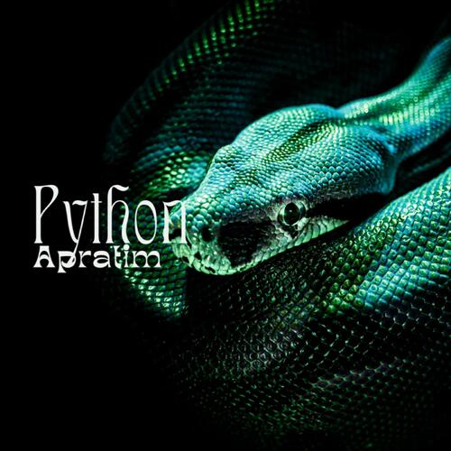 Python_poster_image