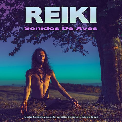Reiki cover art
