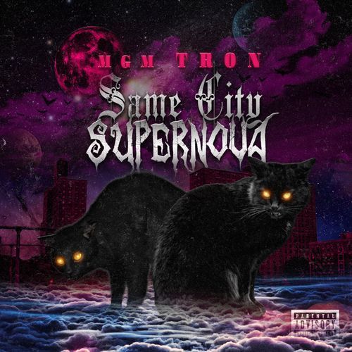Edgar Allan Woe cover art