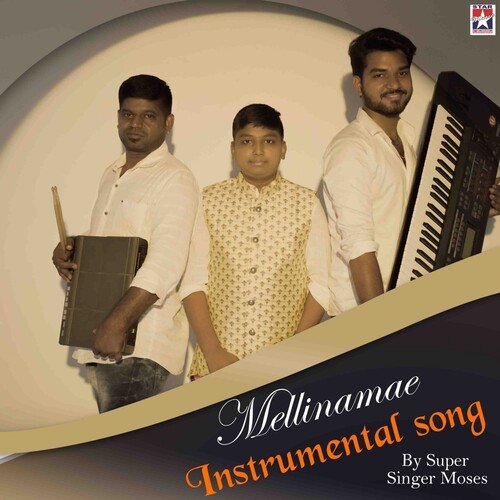 Mellinamae Instrumental Song