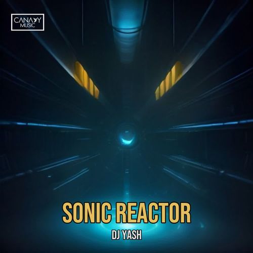 Sonic Reactor