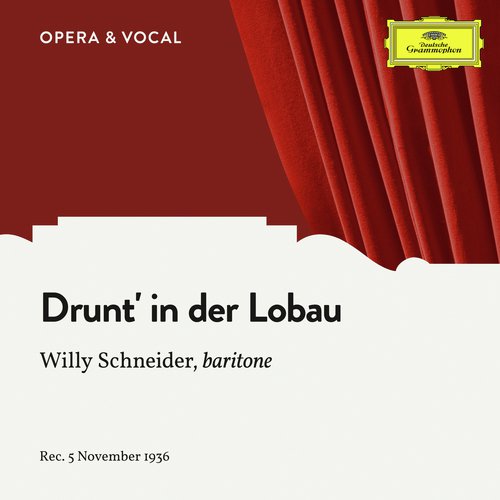 Strecker: Drunt&#039; in der Lobau, Op. 290_poster_image