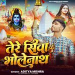 Tere Shiva Bholenath