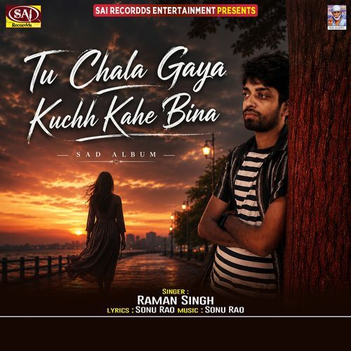 Tu Chala Gaya Kuch Kahe Bina