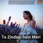 Tu Zindagi Hain Meri