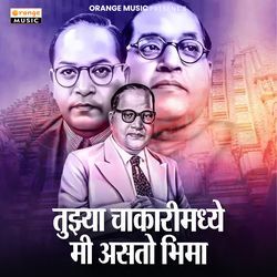 Tuzya Chakrimdhe Mi Asto Bhima