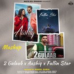 2 Gulaab x Aashiq x Fallin Star (Mashup) (Mashup)