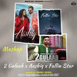 2 Gulaab x Aashiq x Fallin Star (Mashup) (Mashup)-ACYCeSNEWFY