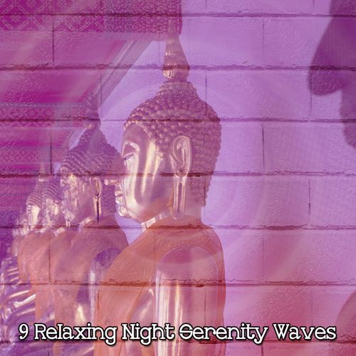 9 Relaxing Night Serenity Waves_poster_image