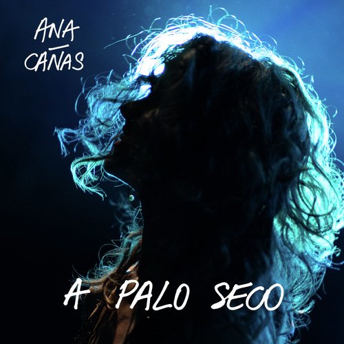 A Palo Seco (Radio Edit)_poster_image