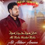 Ali Mola Haider Mola