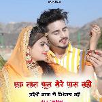 एक लाल फूल मेरे पास नहीं प्रदेशी बन्ना रो विश्वास नहीं