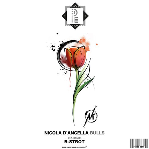 NICOLA D'ANGELA