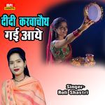 Didi Karvachauth Gai Aaye