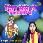 Dil Mero Le Gayo Sawariya