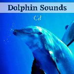 Relaxing Music with Nature Sounds artwork