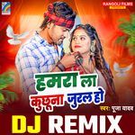 Hamra La Kuchhuna Jural Ho (DJ Remix)