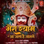 Mera Shyam Aa Jata Hai Samne