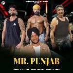 Mr Punjab