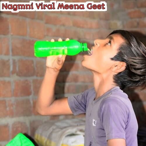 Nagmni Viral Meena Geet