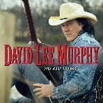 David Lee Murphy
