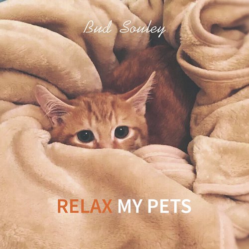 Relax My Pets_poster_image