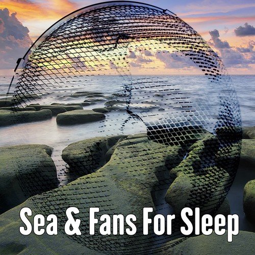 Sea & Fans For Sleep