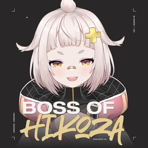 Hikoza Raiders「RT8/BNY/BN」 cover art