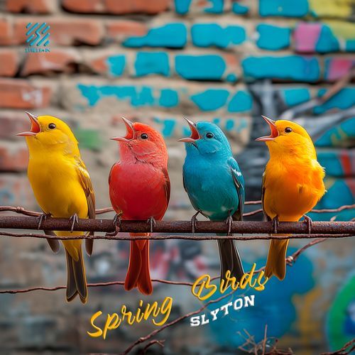 Spring Birds