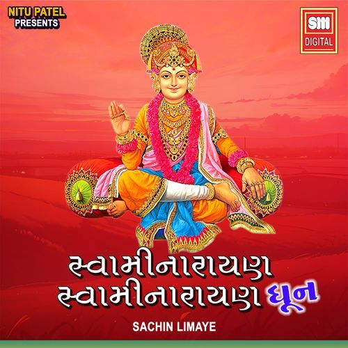 Swami Narayan Narayan Swami DHUN cover art