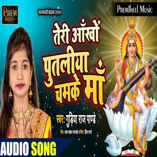 Teri Aankho Ki Putariya Chamke (Bhojpuri Song)