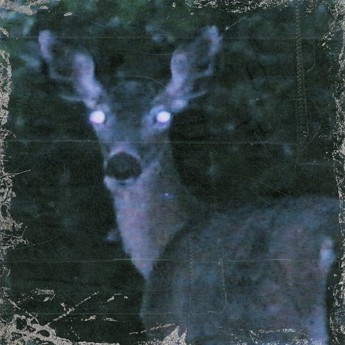 Took My Time (feat. rei brown & sam.sts) cover art