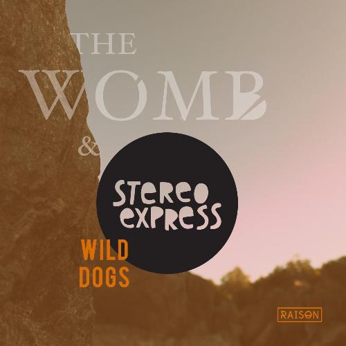 Wild Dogs (Fennec & Wolf Remix) cover art