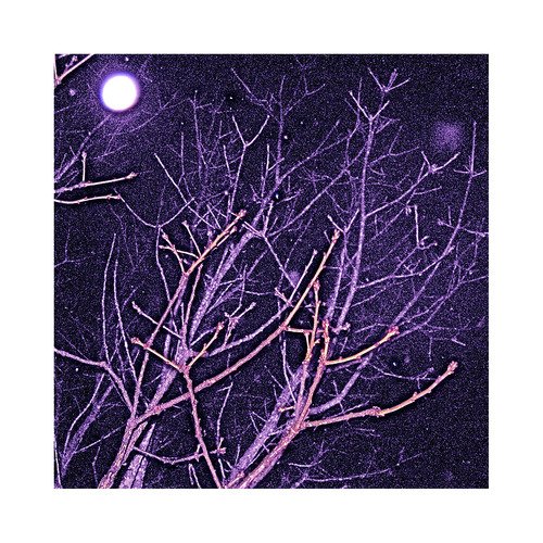 A-Bird (Piano Version) cover art