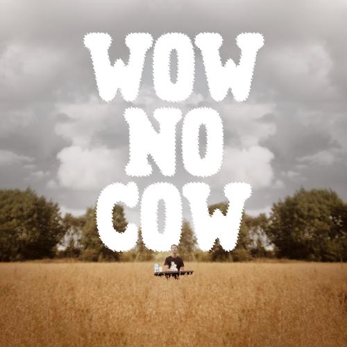 Wow No Cow cover art