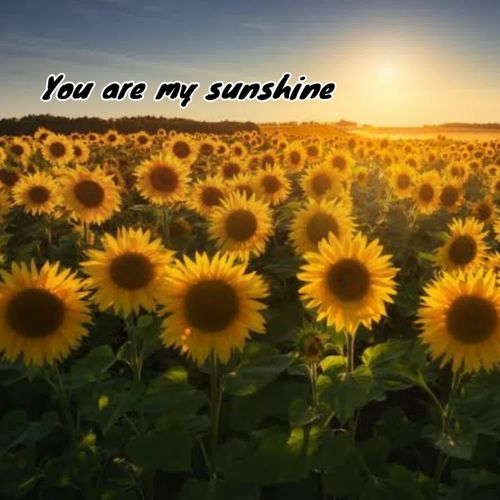 You are my sunshine