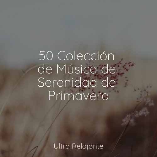 50 Colección de Música de Serenidad de Primavera