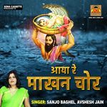Aa Jaiyo Shyam Barsane Mai